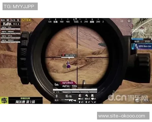 和平精英战术解析FPX团队防反体系的策略与应用探讨